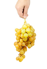 Image showing Bunch of fresh grapes