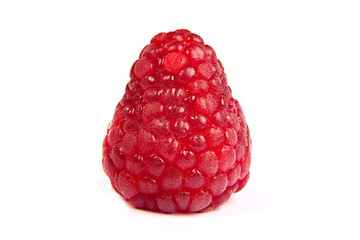 Image showing Single fresh raspberry, isolated on  white. Close up macro shot