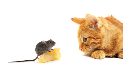 Image showing Mouse and cat