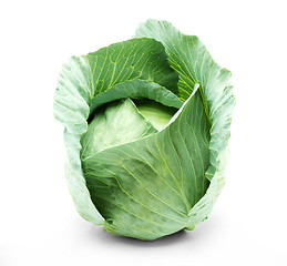 Image showing Head of green cabbage