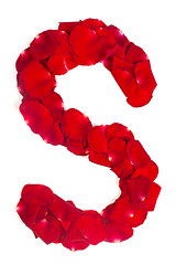 Image showing Letter S made from red petals rose on white