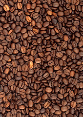 Image showing Background of coffee bean
