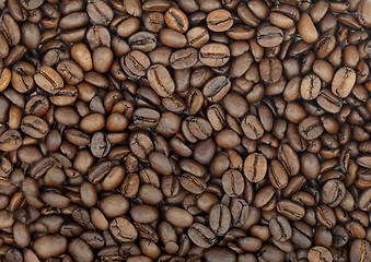 Image showing Roasted coffee bean