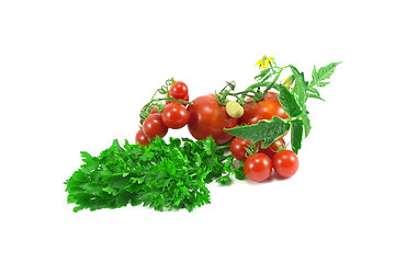 Image showing tomatoes, parsley