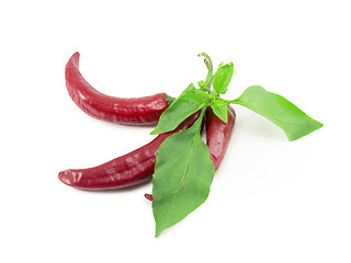 Image showing hot chili peppers