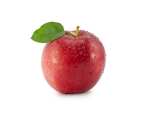 Image showing apple