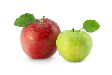 Image showing Two apples