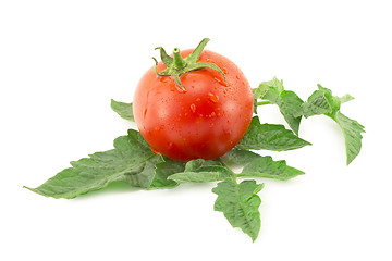 Image showing tomato