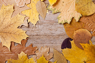 Image showing autumn leaves over wooden background 