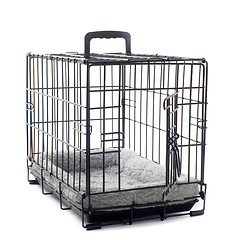 Image showing pet carrier with cushion