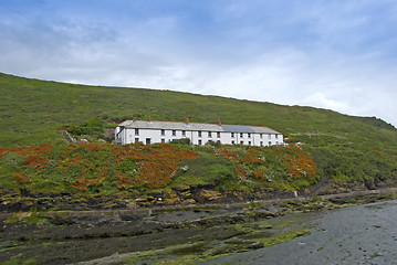 Image showing Cornish Cottages