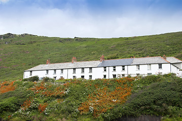 Image showing Cornish Cottages