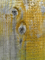 Image showing Old wooden texture