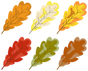 Image showing Collection of color autumn leaves