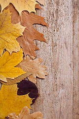 Image showing autumn leaves over wooden background