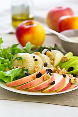 Image showing Apple with Grapefruit and walnut salad