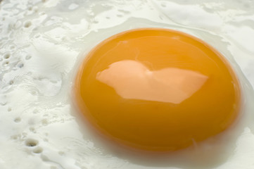 Image showing egg