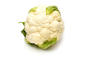 Image showing cauliflower