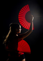 Image showing Flamenco beauty