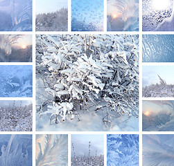 Image showing Winter collage