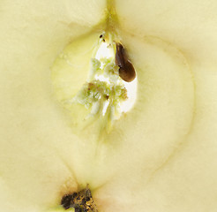 Image showing apple slice