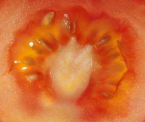 Image showing abstract tomato detail