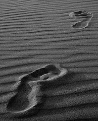 Image showing Step marks in the sand