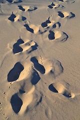 Image showing footprints