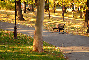 Image showing Autumn park