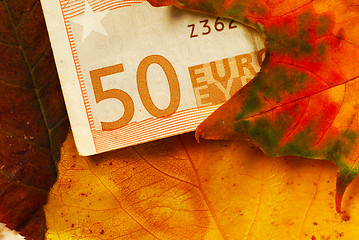 Image showing Fifty euro banknote between autumn leaves
