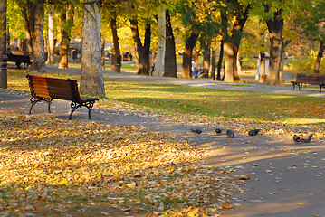 Image showing Autumn park