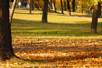 Image showing Autumn park