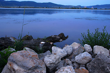 Image showing Blue evening riverbank