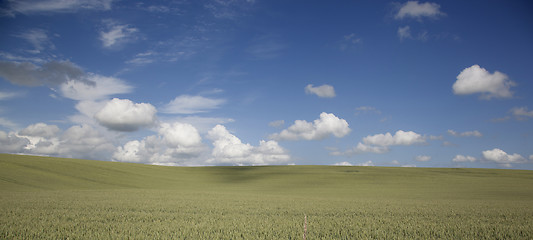 Image showing landscape