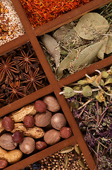 Image showing Spicy Spices in Wooden Box