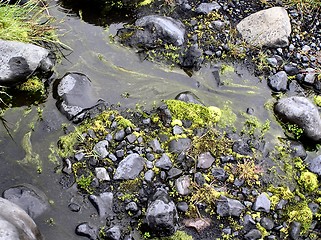 Image showing water round stones