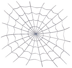 Image showing spiderweb