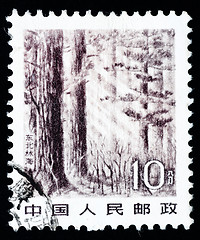 Image showing Stamp printed in China shows immense forest in the Northeast