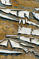 Image showing abandoned grunge wood wall paint peel background 