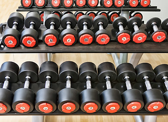 Image showing barbells in gym