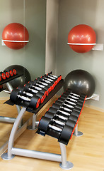 Image showing Serie of dumbbells in a row at gym