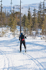 Image showing skier runs cross-country skiing