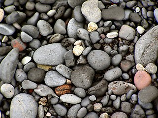 Image showing Pebbles on beach