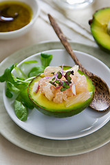 Image showing Avocado and Grapefruit salad