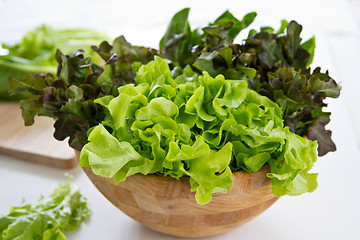 Image showing Varieties of Lettuce