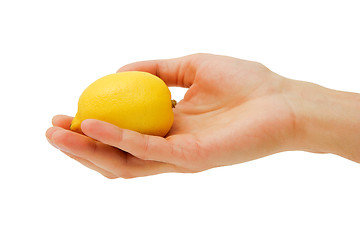 Image showing man's hand holding a lemon