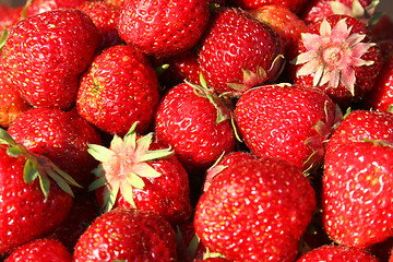 Image showing Strawberries