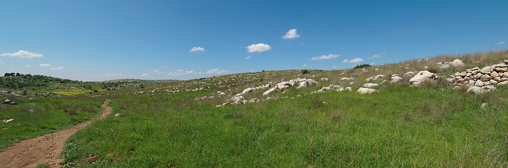 Image showing Hiking trail among Mediterranean landscape in spring