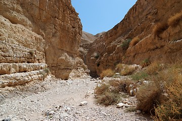 Image showing Desert canyon