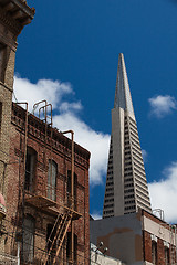 Image showing Transamerica building